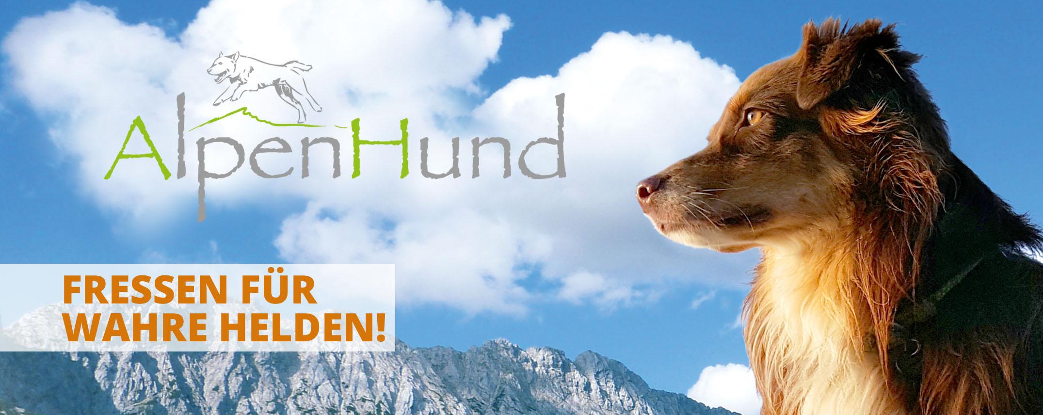alpenhund_banner2